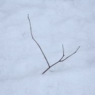 IMG_3189.jpg