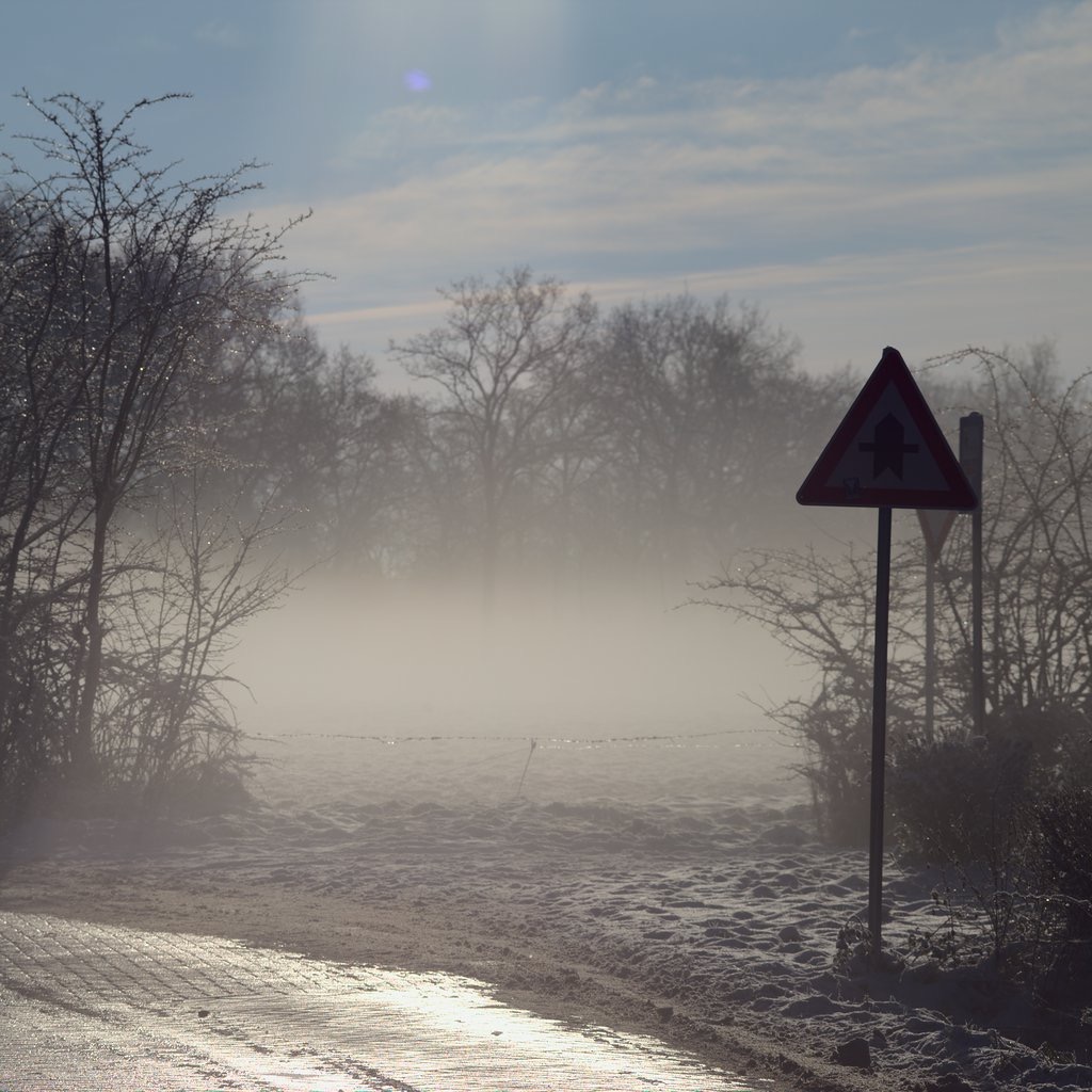 Foggy Meadow I