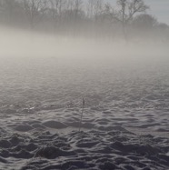 IMG_3370.jpg