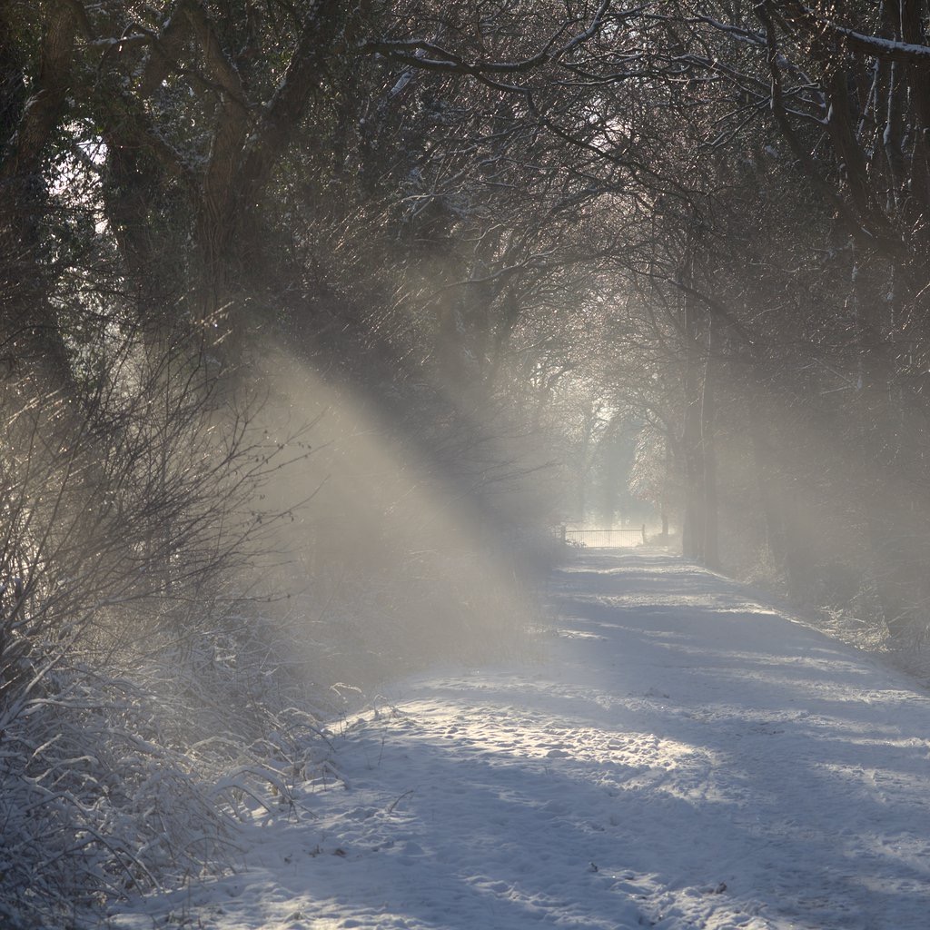 Foggy Engeweg