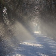 IMG_3388.jpg