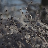 IMG_3400.jpg