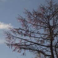 IMG_3410.jpg