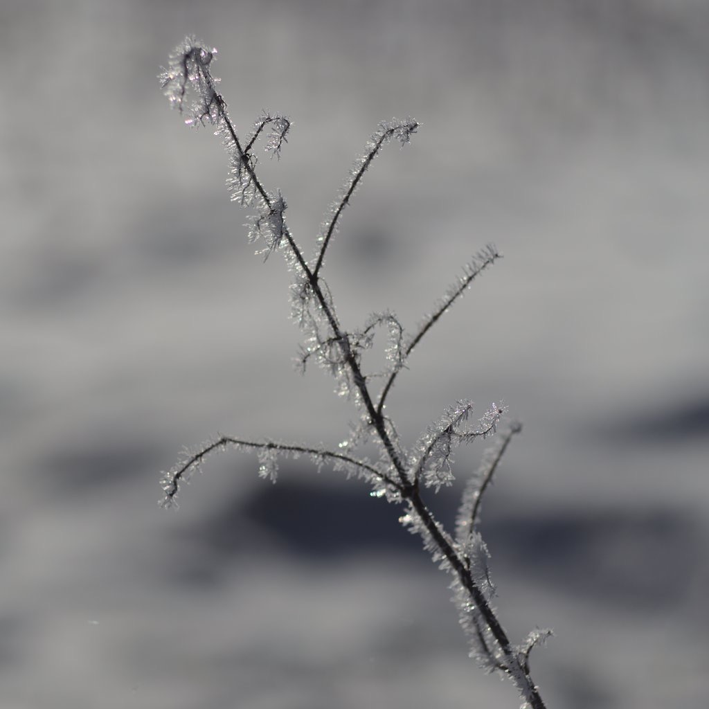 Frozen Structure I