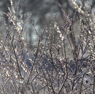 IMG_3428.jpg