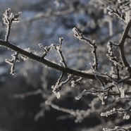 IMG_3481.jpg