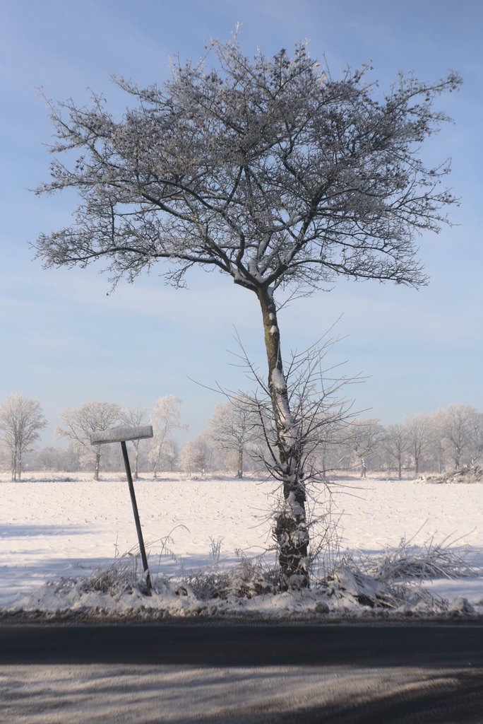 Haxtumer Feld