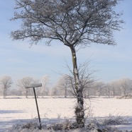 IMG_3534.jpg