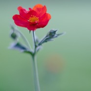 IMG_0777.jpg