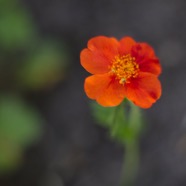 IMG_0794.jpg