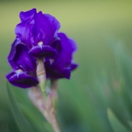 IMG_0802.jpg