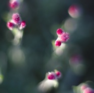IMG_0886.jpg