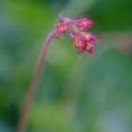 IMG_1111.jpg