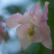 IMG_1154.jpg