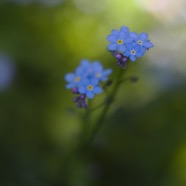IMG_1548.jpg
