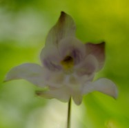 IMG_1567.jpg