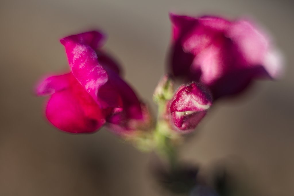 IMG_3371.jpg