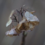 IMG_8858.jpg