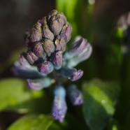 IMG_8879.jpg