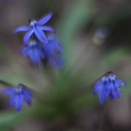 IMG_9090.jpg