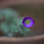 IMG_9093.jpg