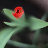 IMG_9122.jpg