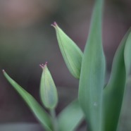IMG_9127.jpg