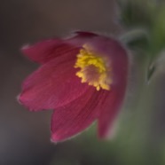 IMG_9377.jpg