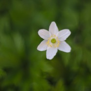 IMG_9452.jpg