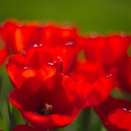 IMG_9465.jpg