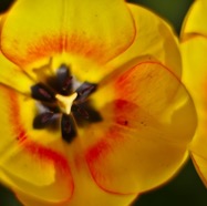 IMG_9473.jpg