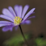 IMG_9586.jpg