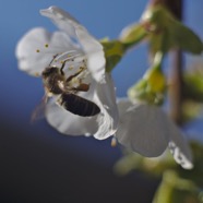 IMG_9598.jpg