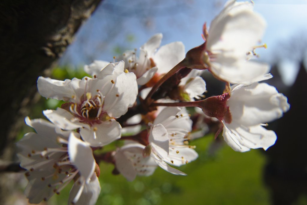 IMG_9672.jpg
